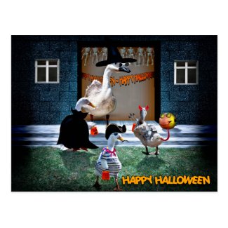 Halloween Trick or Treats Time! Postcard
