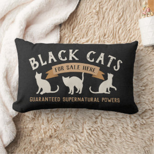 perfectly sane cat lady pillow
