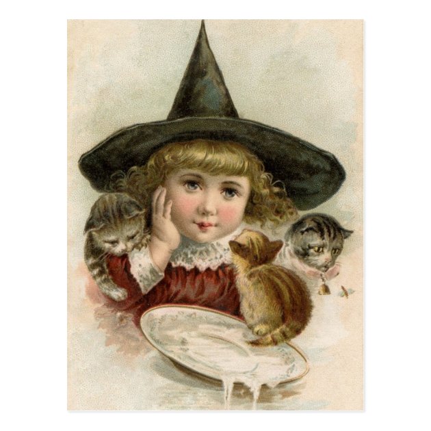 Halloween Vintage Girl Witch Kittens Postcard