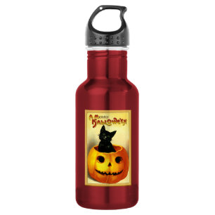 HALLOWEEN Vintage Jack O Lantern Stainless Steel Water Bottle