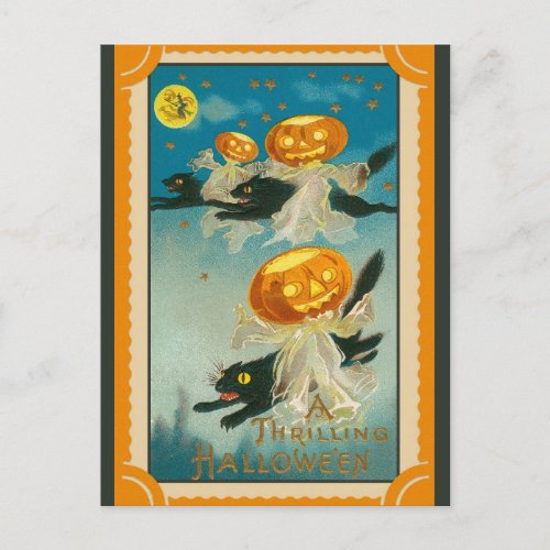 Halloween Vintage Pumpkin Black Cat Postcard
