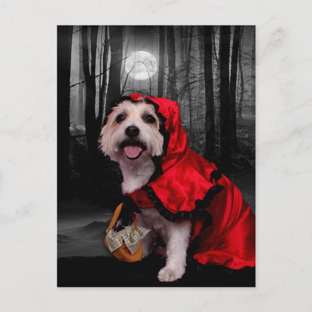 Halloween - Westie - Lady Postcard (Front)