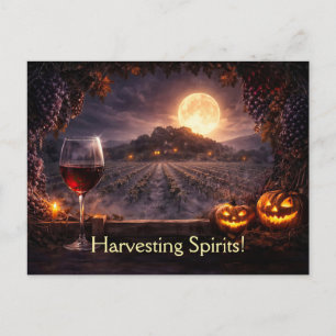 Halloween Wine Vineyard Winery Funny Postcard
