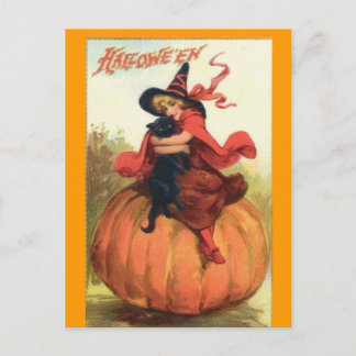halloween,witch,black,cat,postcard holiday postcard