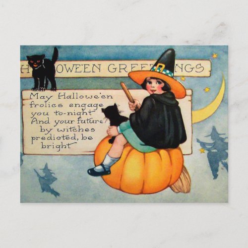 Halloween witch black cats Vintage postcard