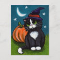 Halloween Witch Cat and Pumpkin Illustration Postcard