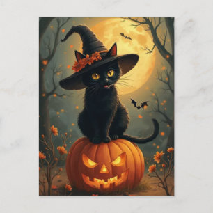 Halloween Witch Cat On A Pumpkin Holiday Postcard