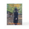 Halloween Witch Humorous Card