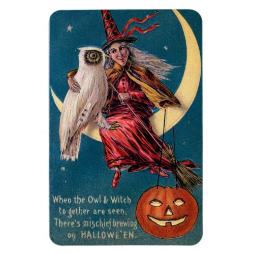 Halloween Witch on Moon with Owl Vintage Magnet