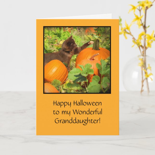 Halloween with Cute Cat Pumpkins for Granddaughter Card (Yellow Flower)