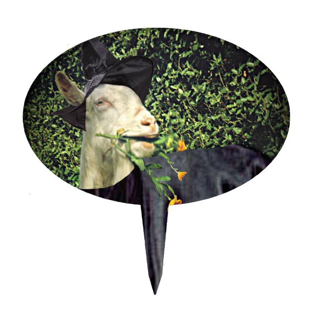 Halloween Wizard Goat Cake Topper (Front)
