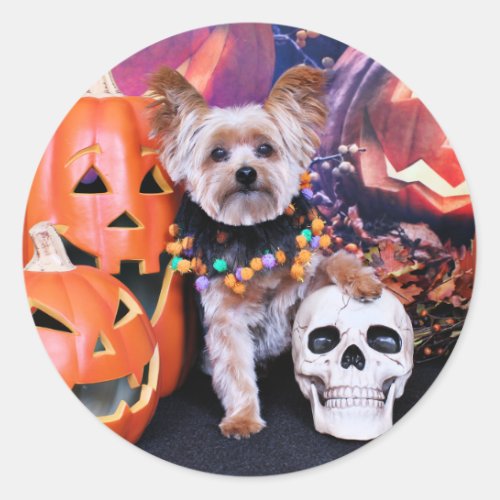 Halloween _ Yorkie _ Vinnie Classic Round Sticker