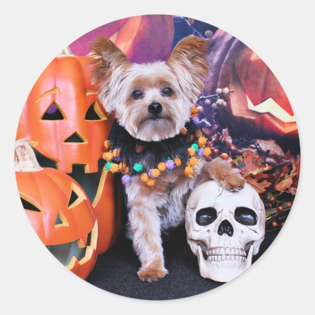 Halloween - Yorkie - Vinnie Classic Round Sticker (Front)