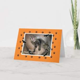 Halloween Yowl-o-ween Scaredy Cat Bats Card
