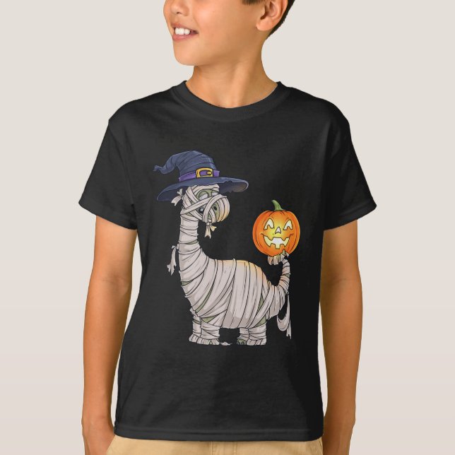 Halloween Zombie Mummy Dinosaur Witch Scary Boys G T-Shirt (Front)