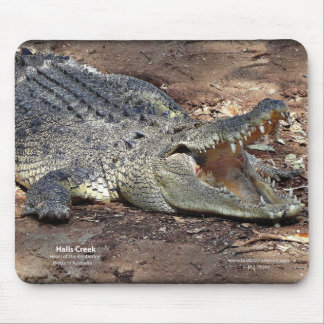 Halls Creek Croc Mouse Pad
