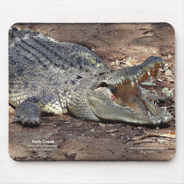 Halls Creek Croc Mouse Pad (Front)