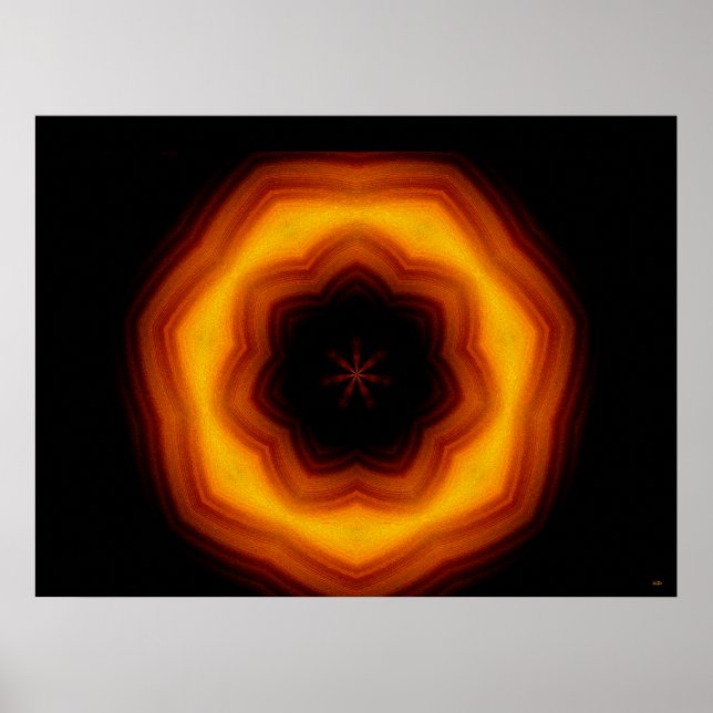 Halo Flower Poster (Front)