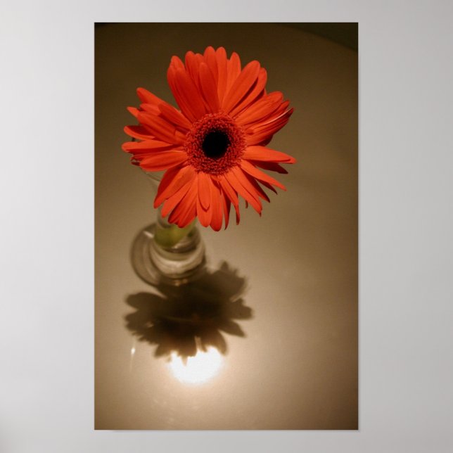 Halo & Silhouette Daisy Poster (Front)