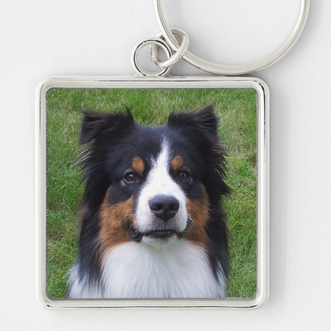 HALO the Aussie Dog Keychain (Front)
