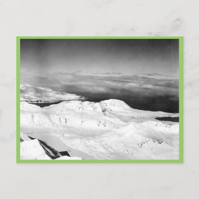 Halter Collection Postcard (Front)