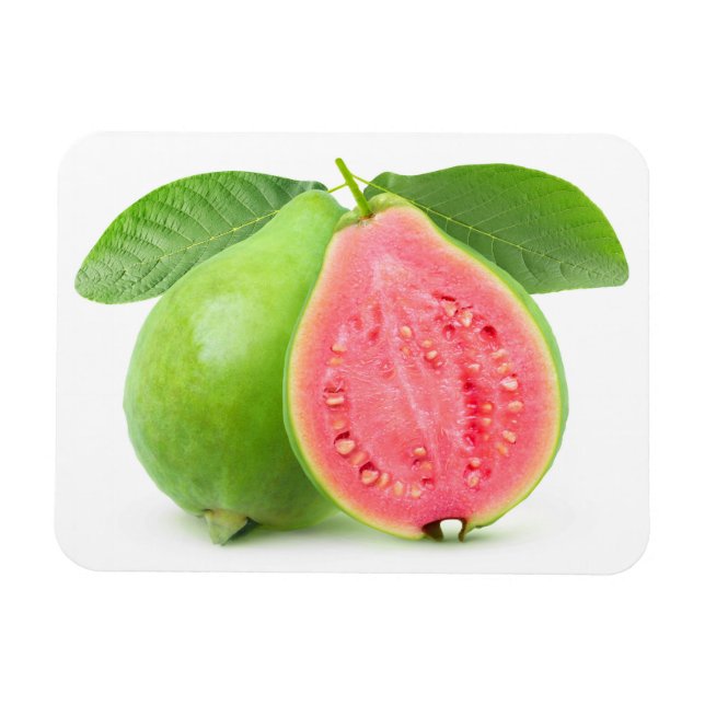 Halved guava magnet (Horizontal)