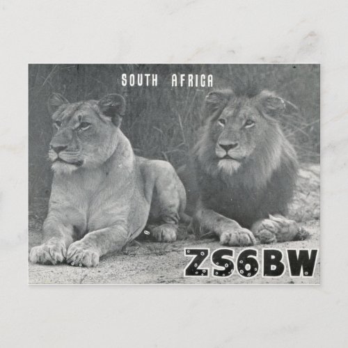 Ham Radio QSL Card South Africa Lions Postcard
