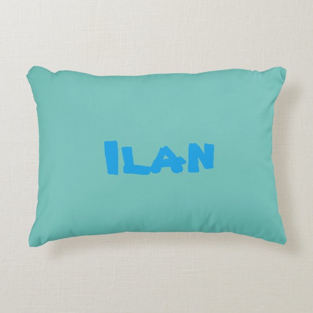 HAMbWG -  Accent Pillow - Aquamarine (Front)