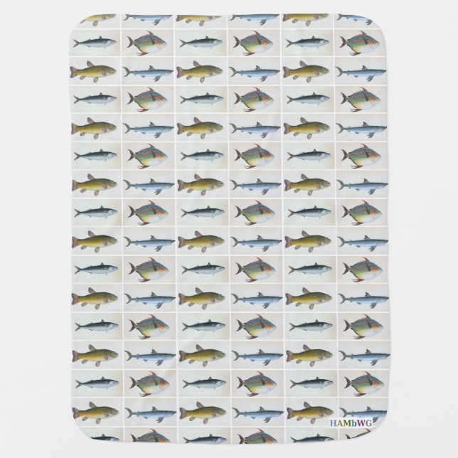 HAMbWG Baby Blanket - Four Fish (Front)