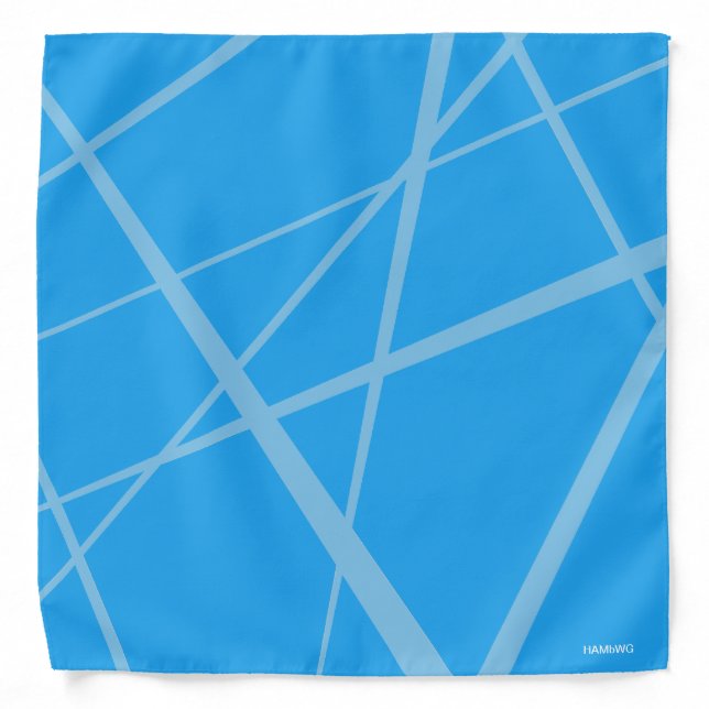 HAMbWG - Bandana - Rays with Any Color (Front)