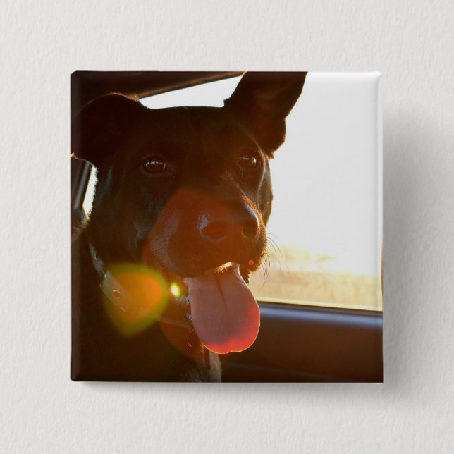 HAMbWG - Button - Dog riding in car (Front)
