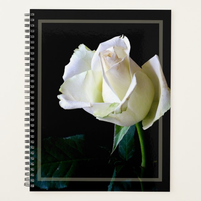 HAMbWG - Daily Planner - White Rose (Front)