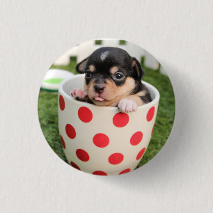 HAMbWG - Square Button - Teacup Puppy