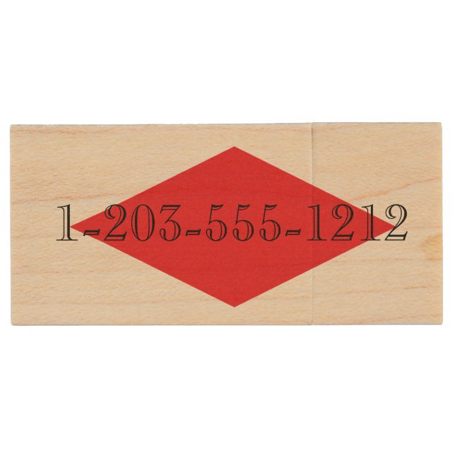 HAMbWG - USB Flash Drive - Dog Graphic (Front)