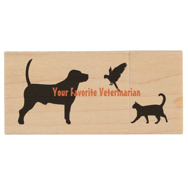 HAMbWG - USB Flash Drive -  Veterinarian (Front)