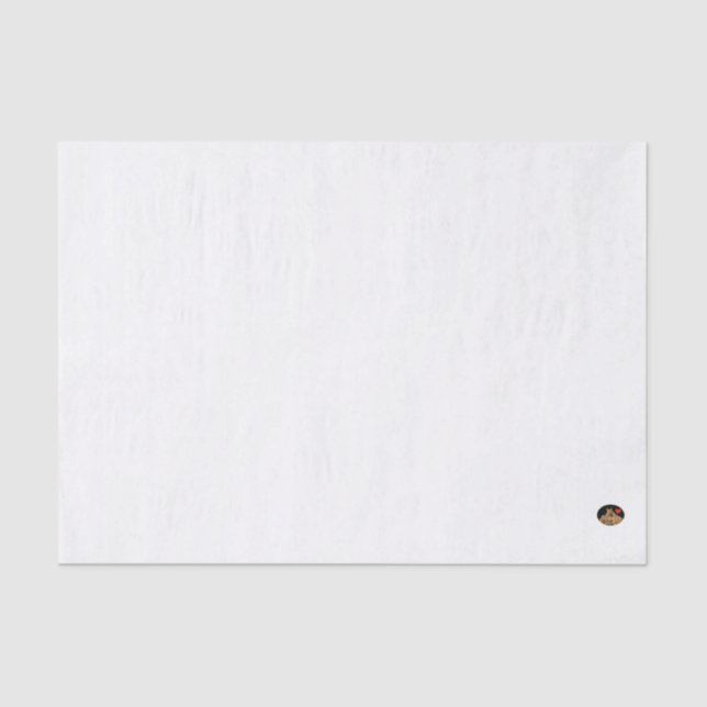 HAMbyWG - 10lb Tissue Paper, Light Blue Paper (Front)