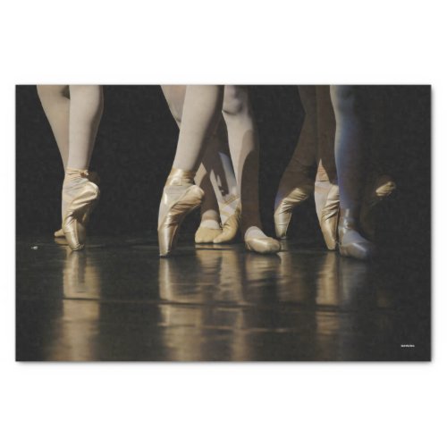 HAMbyWG _ Ballerina legs _ Tissue Paper