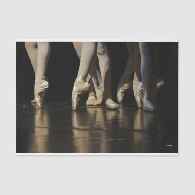 HAMbyWG - Ballerina legs - Tissue Paper (Front)