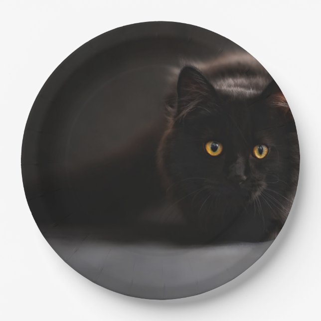 HAMbyWG - Custom Paper Plates 9" -Black Cat (Front)