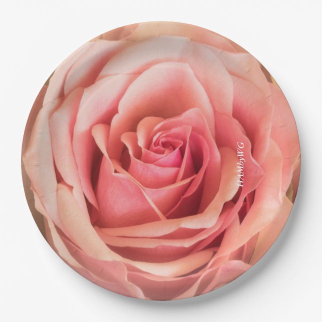HAMbyWG - Paper Plate 7 or 9" - Peach Rose (Front)