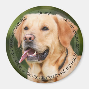 HAMbyWG Pet Magnet