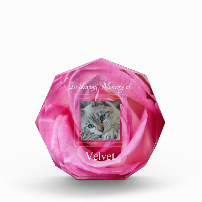 HAMbyWG  Pink Rose  Acrylic Photo Block (Front)