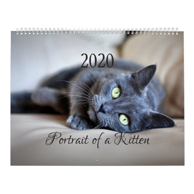 HAMbyWG- Portrait of a Kitten Calendar (Cover)