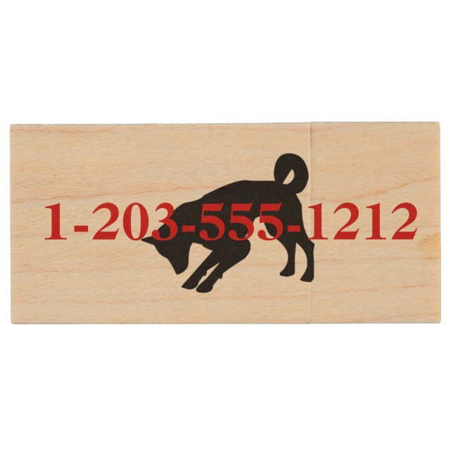 HAMbyWG - USB Flash Drive - Dog Graphic (Front)
