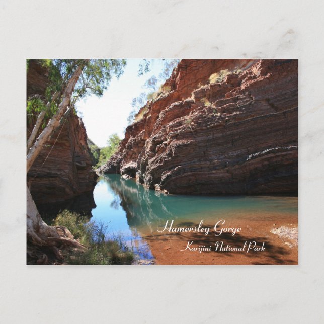 Hamersley Gorge, Karijini National Park - Postcard (Front)