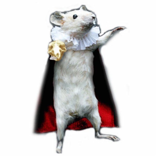 Hamlet von Schnitzel statue (Front)