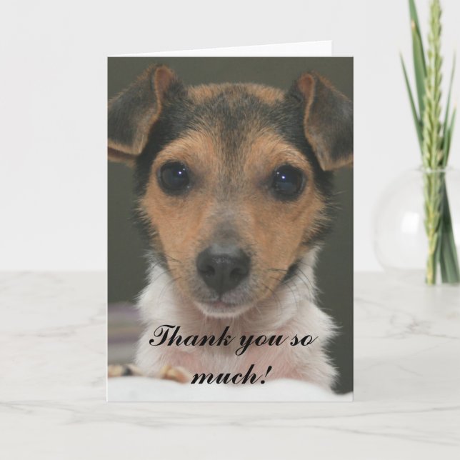 Hamlin - Thank you so much! Card (Front)