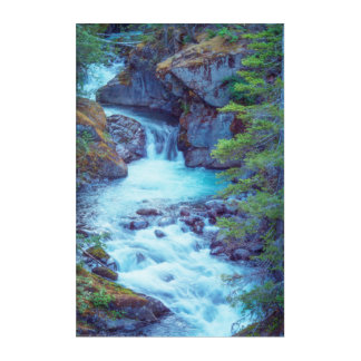 Hamma Hamma Creek Acrylic Print