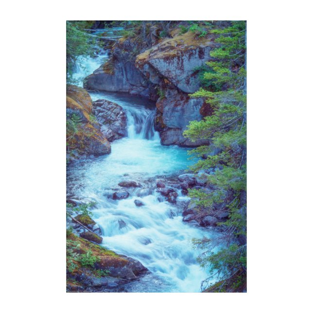 Hamma Hamma Creek Acrylic Print (Front)