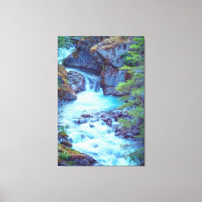 Hamma Hamma Creek Canvas Print (Front)